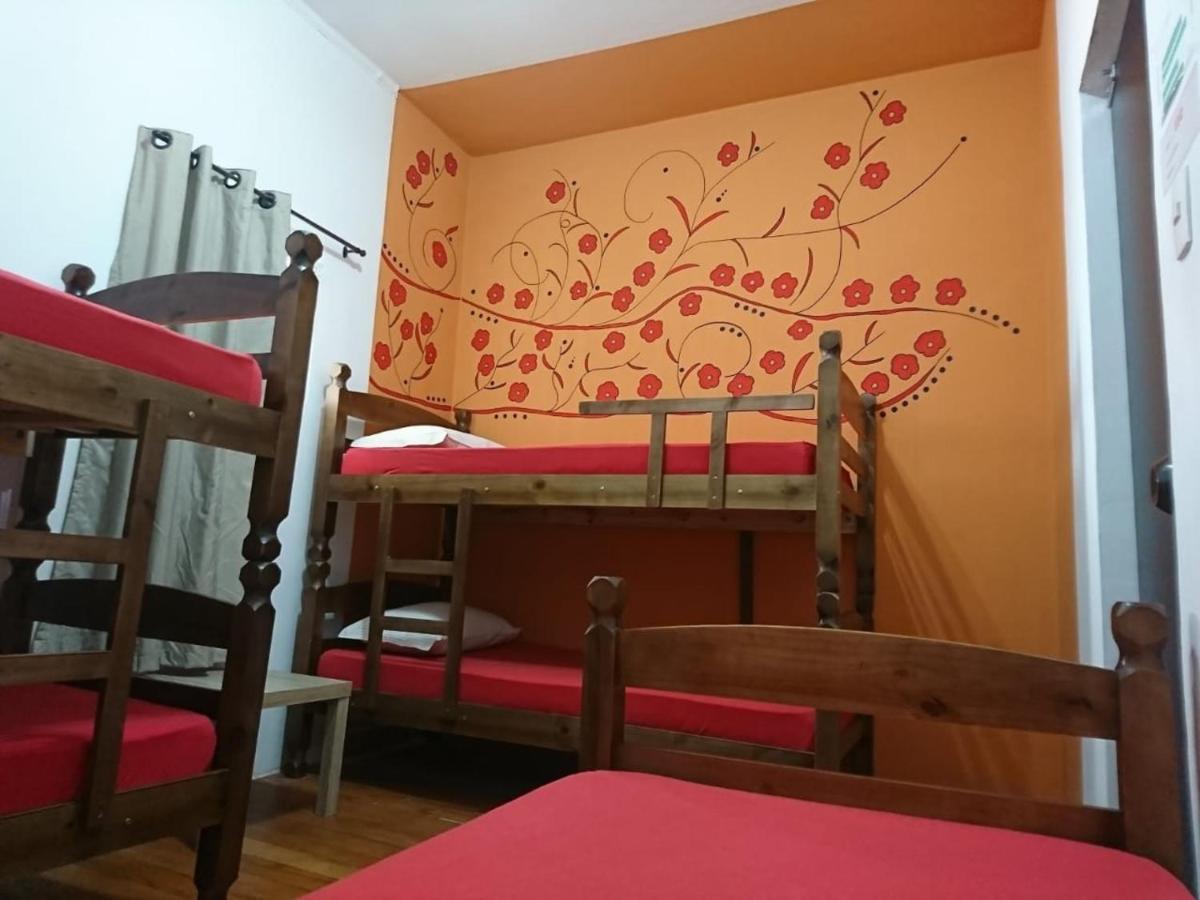 Calabria Na Madalena Junto A Alegria Da Albergue São Paulo